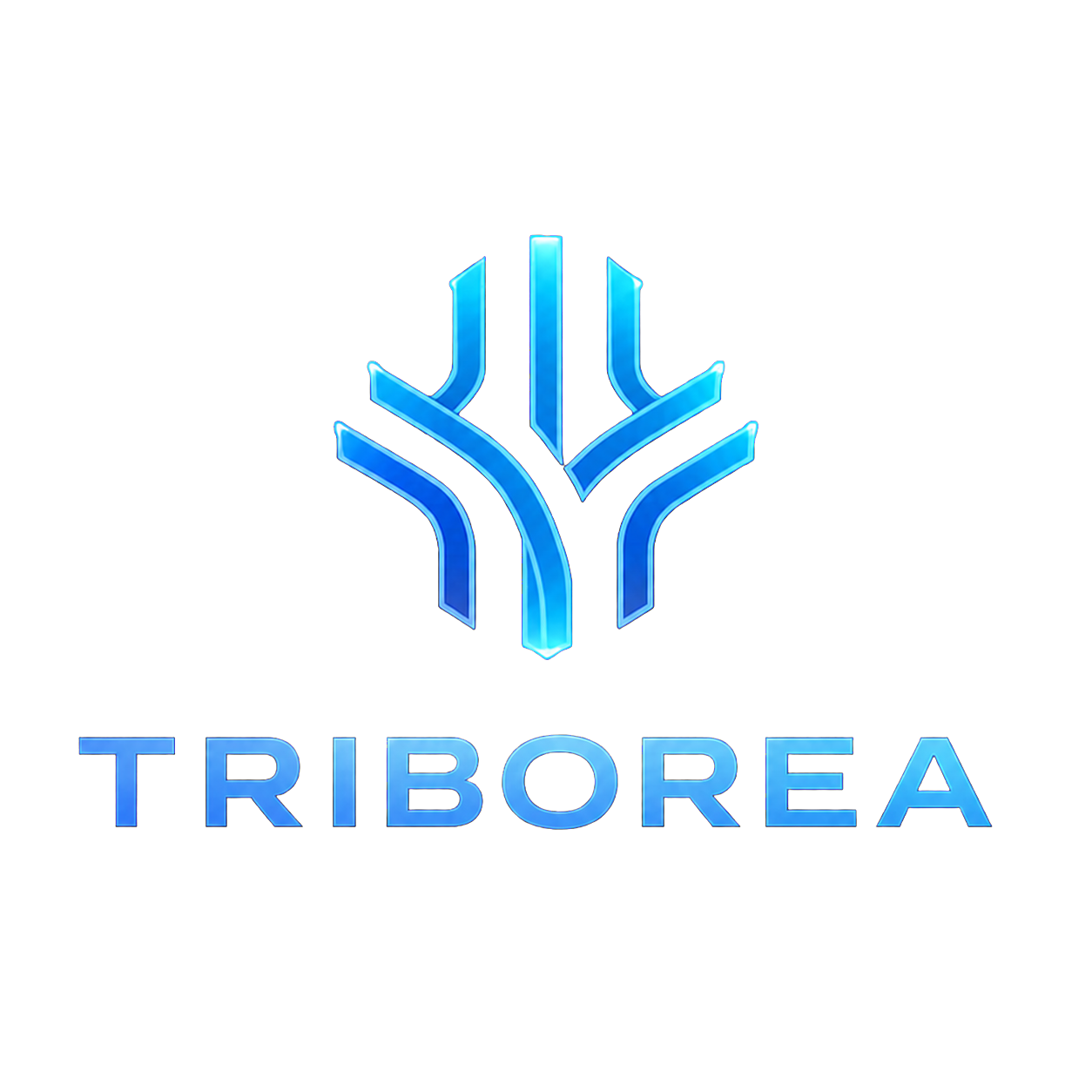 Triborea